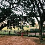 camping sitio recanto do vovo-novo hamburgo-campo bom-RS-5