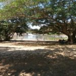 imagecamping veredas-cavalcante-go-10