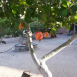 Apoio RV – Estacionamento Paraíso – Jijoca de Jericoacoara 4