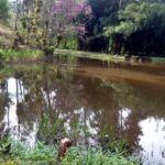 Camping Cachoeira do Jamil-SAO PAULO-SP-4