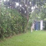 Camping Da Linete-Praia do Sono-Paraty-RJ-8
