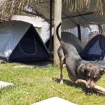 Camping Estação Cultural Flor & Cabelo-caucaia-ce-4