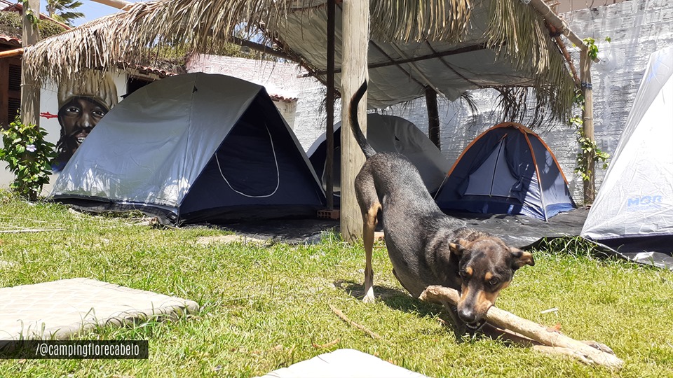 Camping Estação Cultural Flor & Cabelo-caucaia-ce-4
