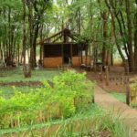 Camping Mariana-felixlandia-mg-6