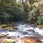 Camping PArque do Zizo-sao miguel arcanjo-sp4