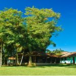 Camping Pousada Ecológica Araribá-Guaraqueçaba-PR-1