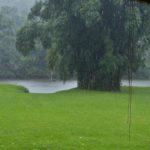Camping Pousada Ecológica Araribá-Guaraqueçaba-PR-2