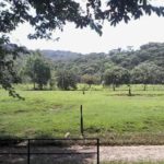 Camping Poço dos Macacos-guaraqueçaba-pr-1