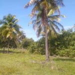 Camping Sítio Boralá-AMONTOADA-ce-5