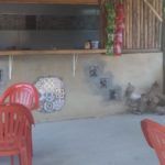 Camping do Lele-Linhares-ES-3