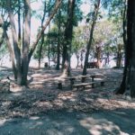 Camping dos Eucaliptos-PAcheca-Areal-Camaquã-RS-2
