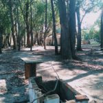 Camping dos Eucaliptos-PAcheca-Areal-Camaquã-RS-3