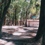 Camping dos Eucaliptos-PAcheca-Areal-Camaquã-RS-4