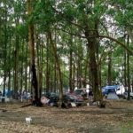 Camping dos Eucaliptos-PAcheca-Areal-Camaquã-RS-5