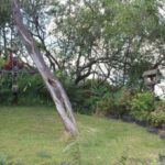 casa camping ouro preto-mg-4