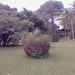 Camping Adventure Camping Hostel in Farm-jaboatão dos Guararapes-Recife-PE-10