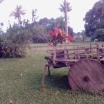 Camping Adventure Camping Hostel in Farm-jaboatão dos Guararapes-Recife-PE-18