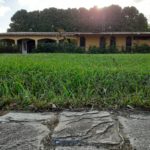 Camping Adventure Camping Hostel in Farm-jaboatão dos Guararapes-Recife-PE-2