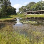 Camping Adventure Camping Hostel in Farm-jaboatão dos Guararapes-Recife-PE-3