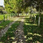 Camping Adventure Camping Hostel in Farm-jaboatão dos Guararapes-Recife-PE-6