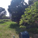 Camping Palmer do Canal-cabo frio-rj-14