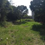 Camping Palmer do Canal-cabo frio-rj-17