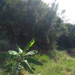 Camping Palmer do Canal-cabo frio-rj-18