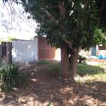 Camping Palmer do Canal-cabo frio-rj-26