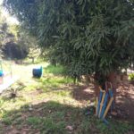 Camping Palmer do Canal-cabo frio-rj-3