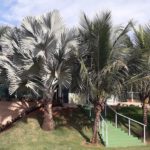 Camping Recanto Elohimiitapira-sp-3