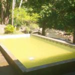Camping Recanto da Jaqueira-Conceição de Macabu-RJ-4