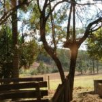 Camping Salto Puxa Nervos-tibagi-pr-2