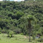 Camping Salto Puxa Nervos-tibagi-pr-3