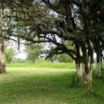 Camping Selvagem Balneário Santa Rosa-Porto União-SC-2
