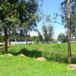 Camping Selvagem Balneário Santa Rosa-Porto União-SC-5