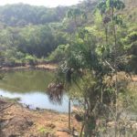 Camping Sitio São José-BRasilia-DF-10