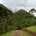 Camping Vale das Montanhas-caxias do sul-rs-5