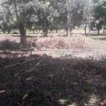 camping ibirapuera-castanhal – pr-abandonado-6