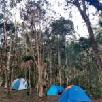 camping tangará-cunha-SP 7