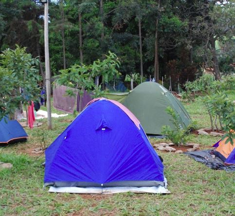 Camping Cristal