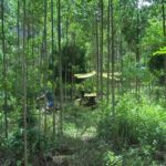 Camping Casa da Grota-PRaia Grande-sc-5