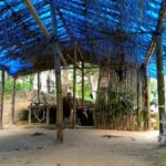 Camping Sitio Mato-camburi-ubatuba-SP-3