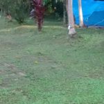 Camping e Pousada Cachoeira do Perequê-Guaraú-Peruíbe-SP-9