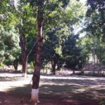 Florestinha Camping Clube-Santa Cruz do Escalvado-MG-11