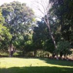 Florestinha Camping Clube-Santa Cruz do Escalvado-MG-9