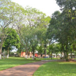 Patio (2)