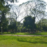Patio (5)