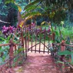 sitio4