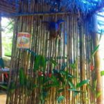 sitio7