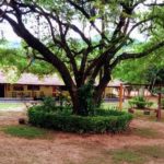 Camping Cachoeira do Martello-Brotas-sp-6
